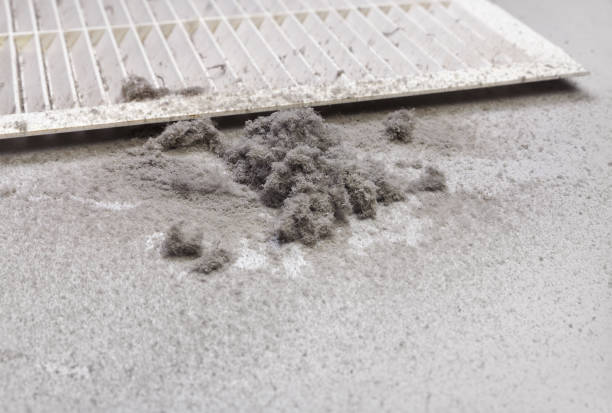 Best Emergency Air Duct Cleaning  in Gray, GA