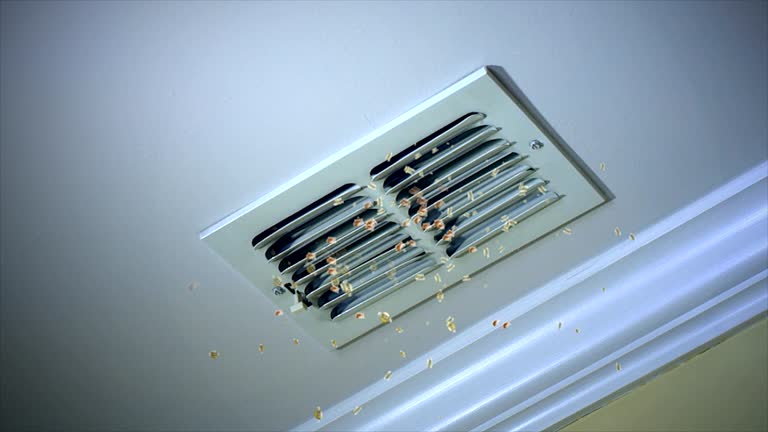 Best Affordable Air Duct Cleaning  in Gray, GA