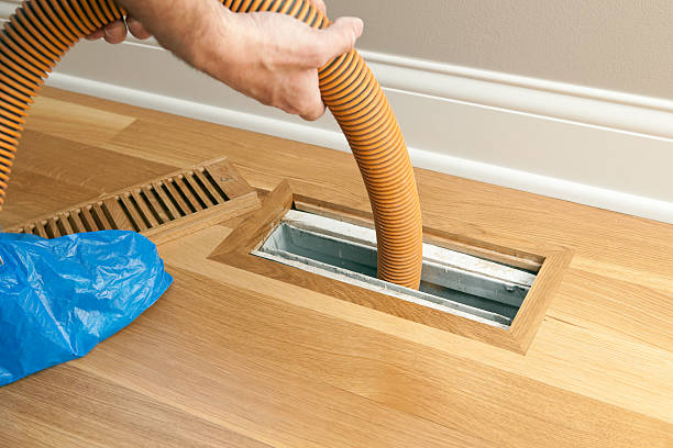 Best Professional Duct Cleaning Services  in Gray, GA