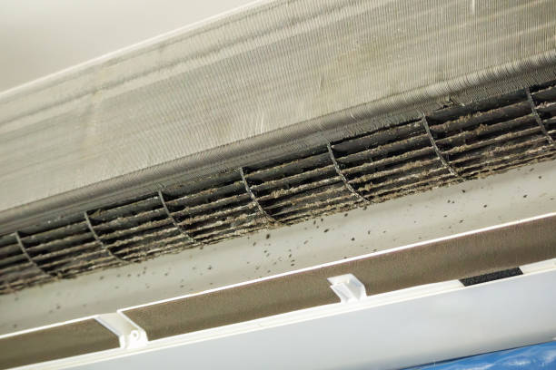 Best Ventilation Cleaning Services  in Gray, GA